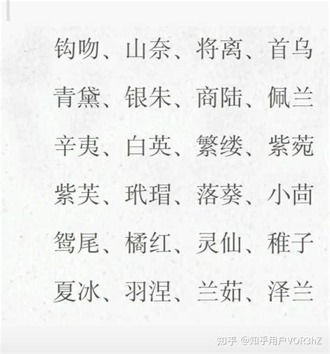 好聽名字大全